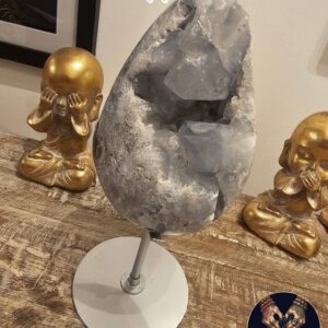 Celestite Egg on Custom Made Stand